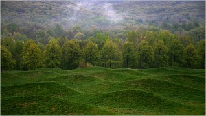 “Storm King Wavefield” Maya Lin’s new work at the Storm King Art Center, occupies a former gravel pit. Librado Romero/The New York Times