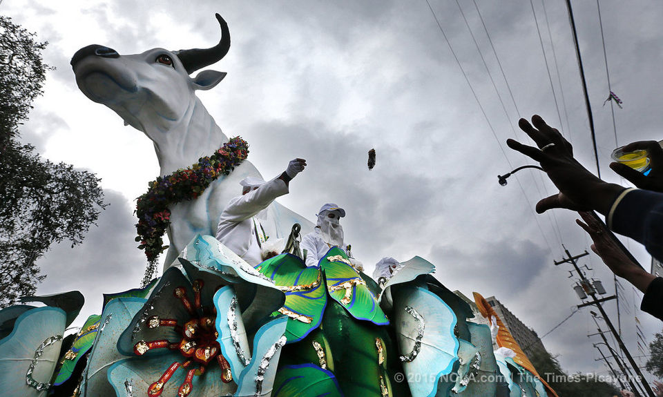 The Rex parade of Mardi Gra in New Orleans, LA; via Nola.com (Ted Jackson, Nola.com | The Times-Picayune)