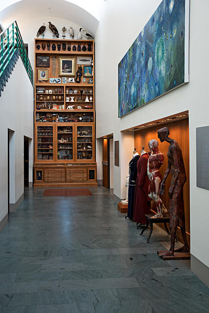Mark Dion's Cabinet of Curiosity on display in the Frances Lehman Loeb Art Center