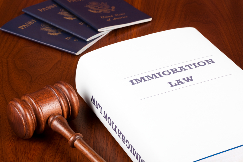 Immigration Representation and the Rule of Law | Ford Scholars