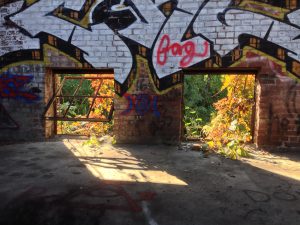 Spray painted walls complement the fiery orange leaves