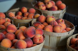 Fishkill Farms Peaches