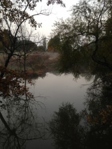 A misty pond next to the rail trail.