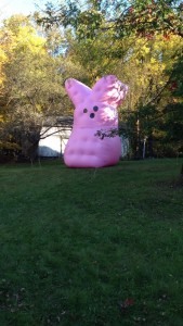 Mysterious and ominous giant pink bunny