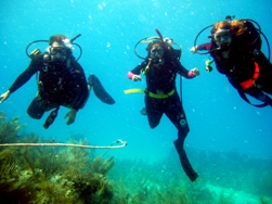 Diving with Monica and Mickey in the Florida Keys