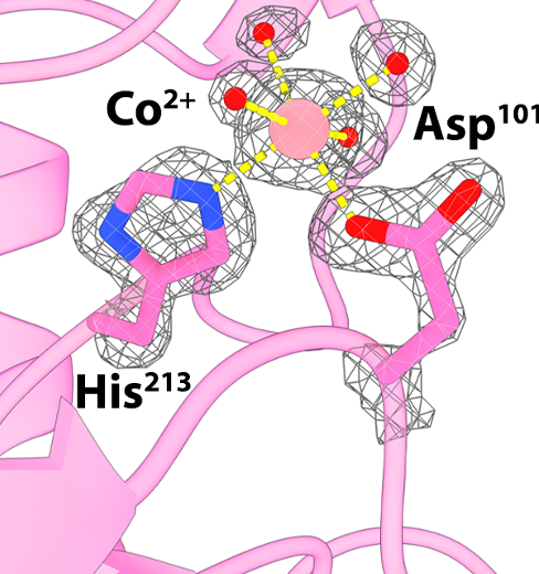 McLaughlin Lab | Vassar