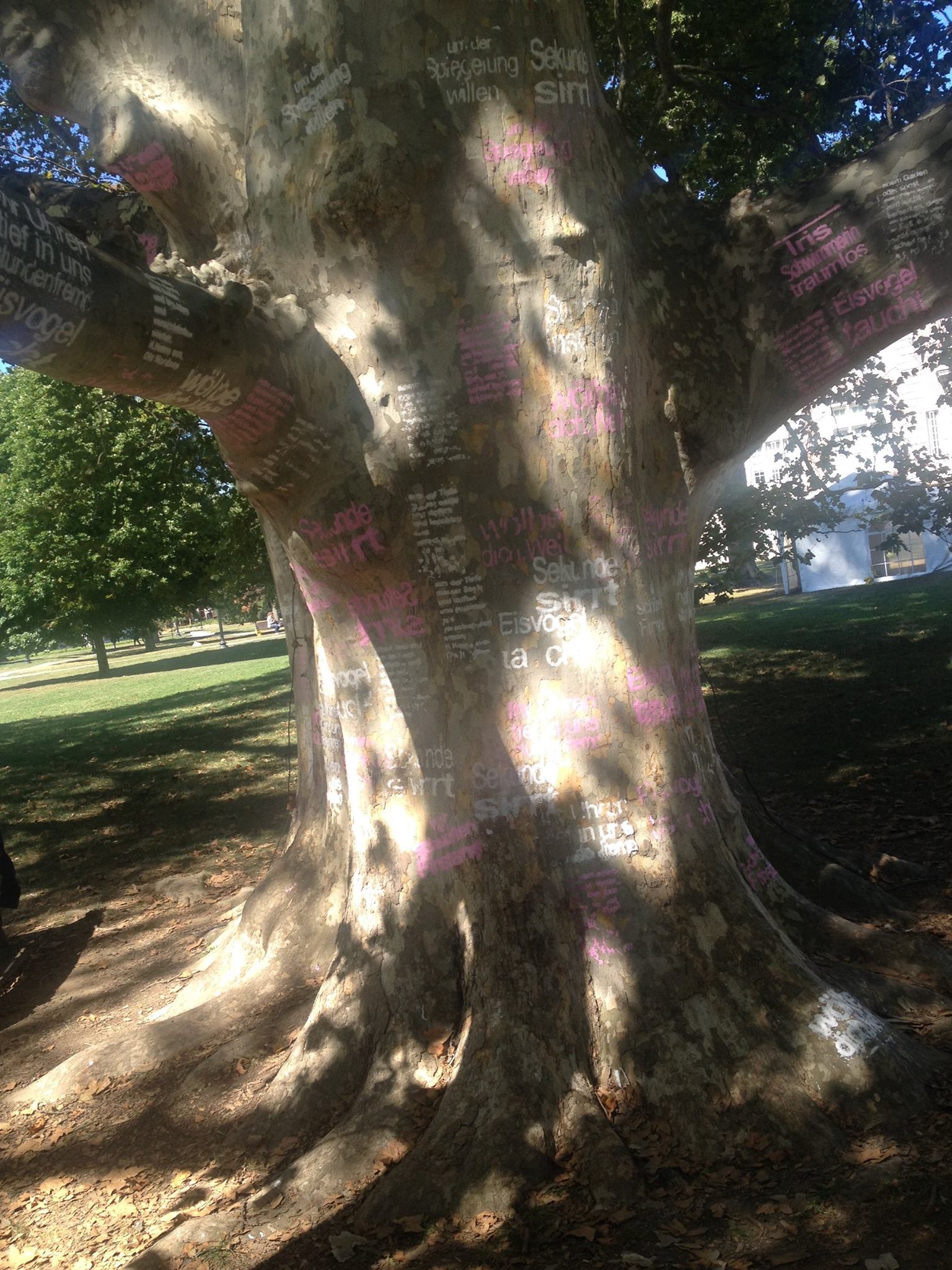 Poetree, Vassar College Library Lawn. Barbara Beisinghoff. Text by Paul Celan and other poets. Handmade couchéd paper on bark.