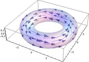 The torus from a different perspective.
