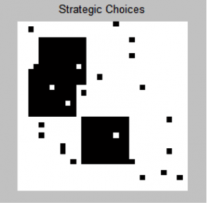 Strategic Choices