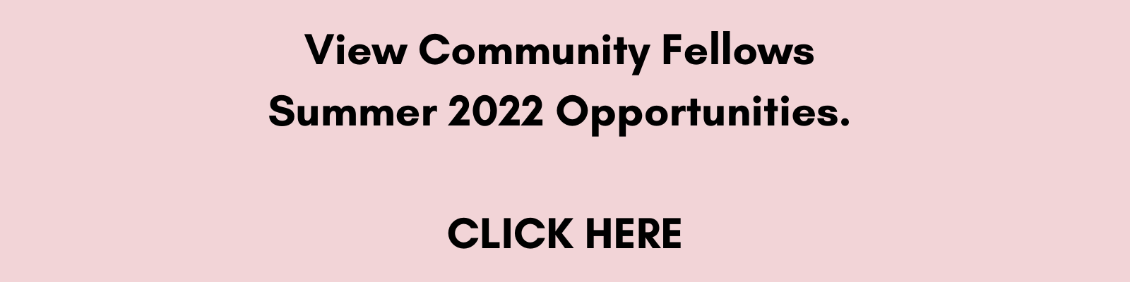 Click here to view summer 2022 Community Fellows Opportunities