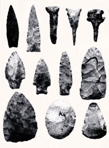 This illustration of stone tools found in Goat Bluff Cave shows the variety of the stone tool category. 