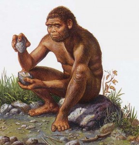 An artist's rendition of a member of the species Homo habilis making a tool of the Oldowan type. 