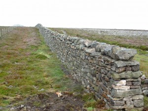A dry stone wall similar to the ones we found