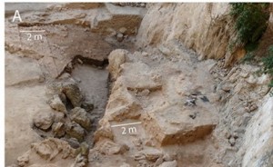 The cave site of El Salt during excavation.