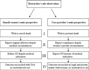 An anthropological analysis of the perspectives of Somali women in the West and their obstetric care providers on caesarean birth