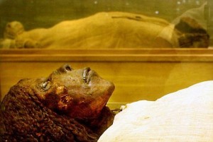 Mummified remains often retain soft tissue, and are promising prospects for evidence of ancient cancer