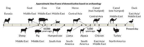 The Domestication of Species and the Effect on Human Life | Real Archaeology