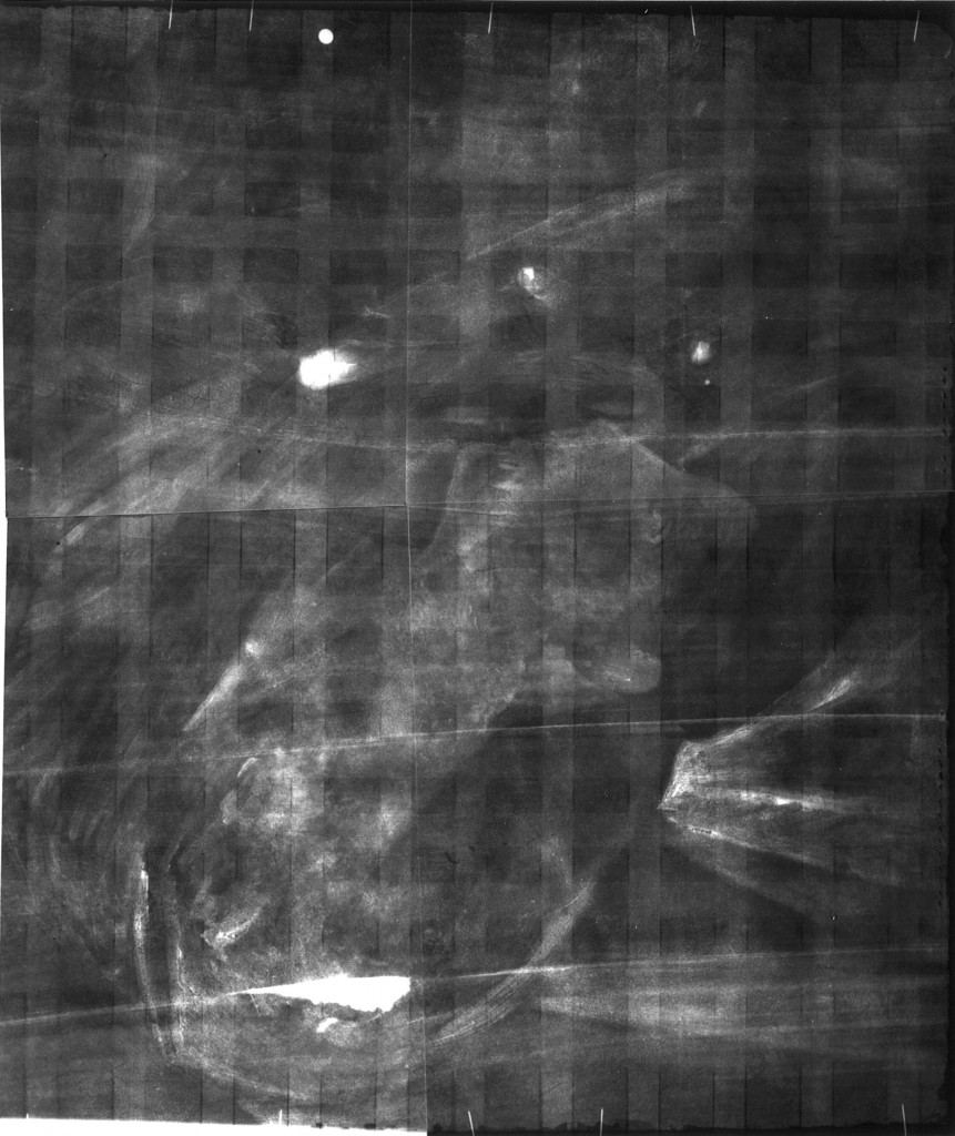 P.8d, x-ray