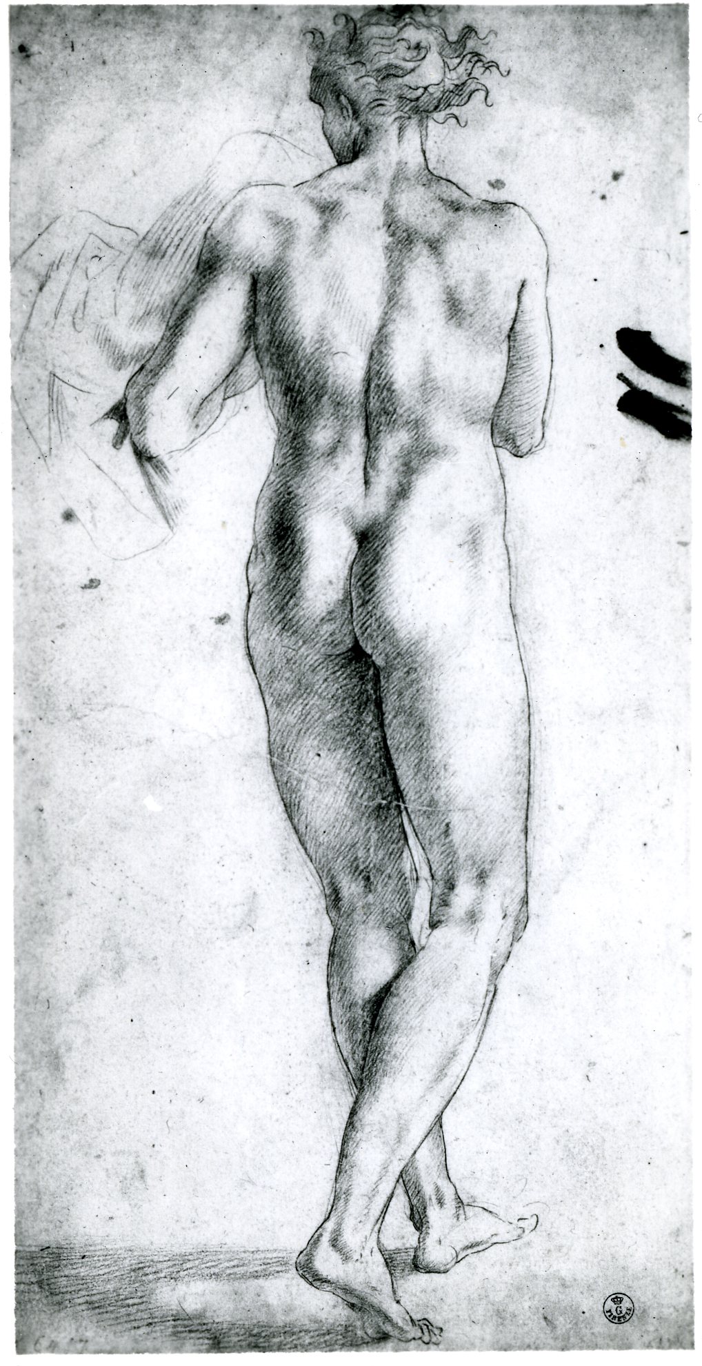 D.21 Standing Nude Youth
