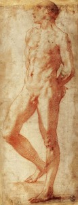 D.7 Standing Male Nude