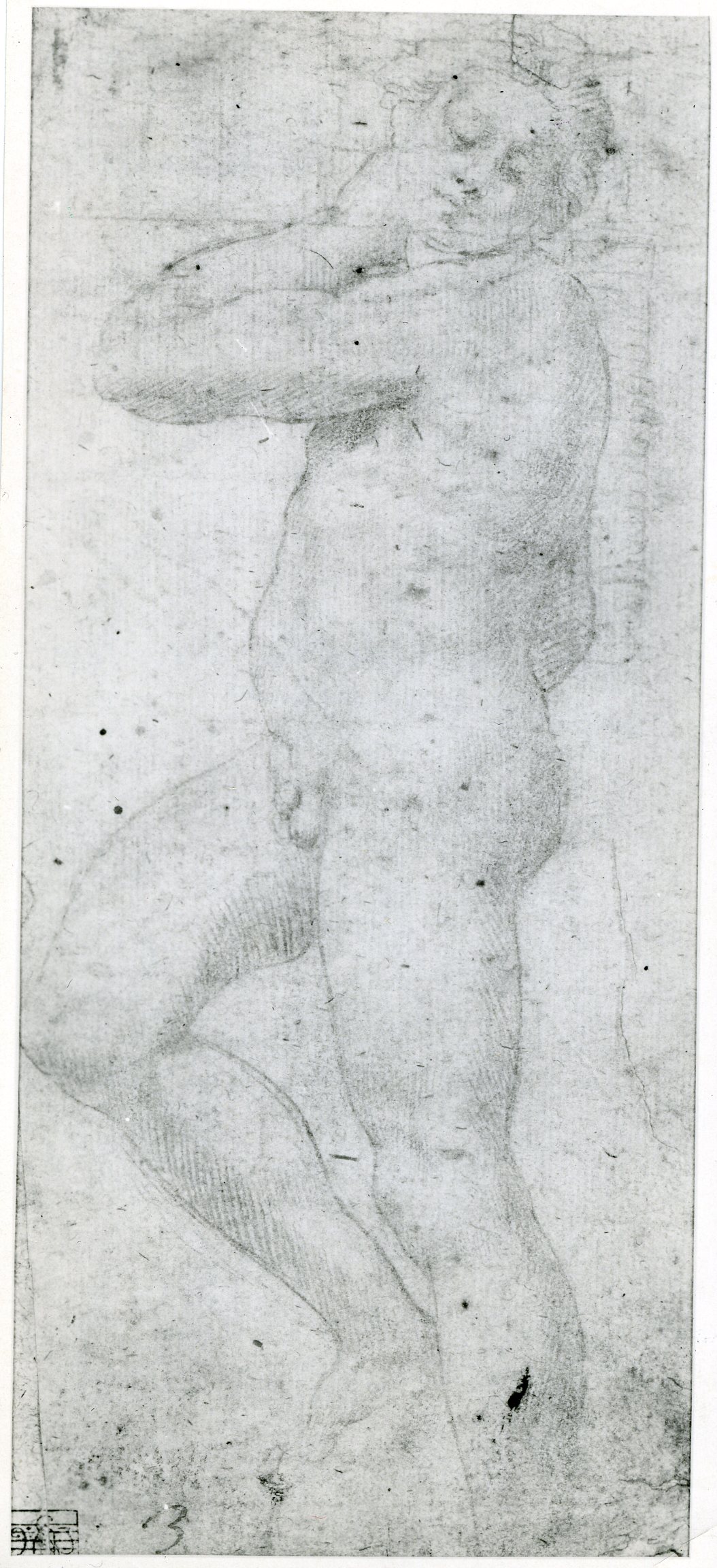D.24 Copy of Michelangelo's David-Apollo
