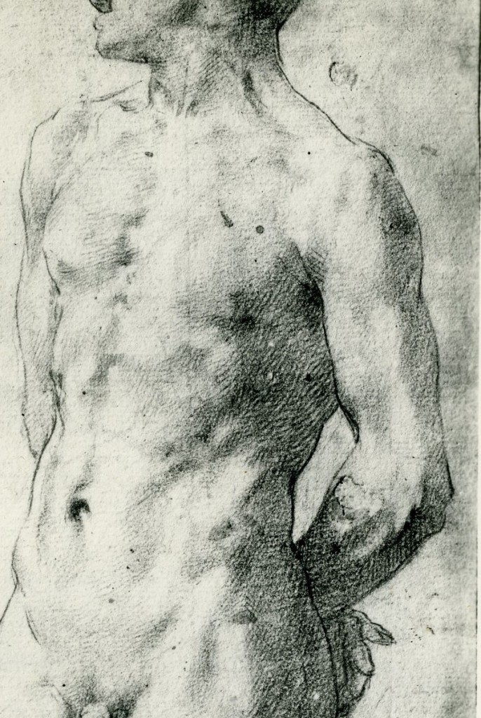 Fig.D.7, Standing Male Nude, detail