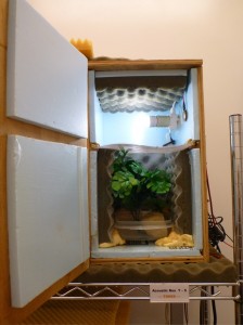 This is what it looks like inside of the sound chamber. In the top is a light, speaker, and a microphone. In the bottom is a water dish, artificial vegetation, and a perching rock.