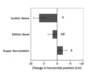 Fig. 1: Behavioral response of Largespring mosquitofish to three stimulus species. Change in horizontal position (post-pre +/- SE) differes among treatments. Letters indicate significant difference from Tukay's post hoc comparison. 