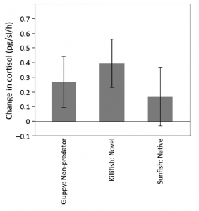 Fig. 3: Hormonal response of Largespring mosquitofish to three stimulus species. Change in natural log of cortisol release rates (post-pre +/- SE) did not differ among treatments. 