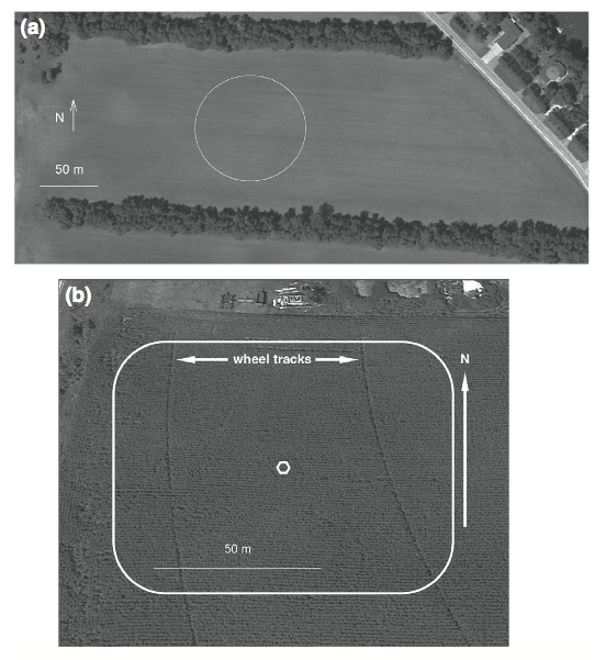 Fig 1. Aerial photograph showing the placement and shape of the (a) field arena in relation to the large dark tree rows and open ends of the field and (b) the corn arenas in 2012 and 2013 (hexagon=release area, and horizontal arrows indicate the location of irrigation wheel tracks and indicate the primarily E-W orientation of the corn rows). 