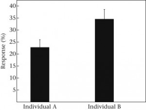 Figure 1. Responses (%) of peahens to stimulus calls produced by the individual that called during the habituation loops (‘individual A’) and to calls produced by a novel individual (‘individual B’). Means ± SE are displayed. 