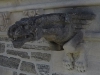 Library Gargoyle D03