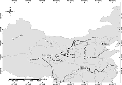 » Qijiaping Central Asia Sites