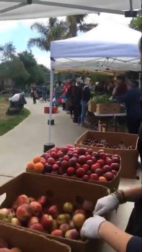 ERI Funded Projects Tamika Whitenack exploring Food Justice at Alemany