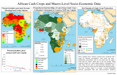 African Cash Crops and Macro-Level Socio-Economic Data