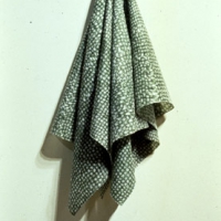 Green Hanging Cloth