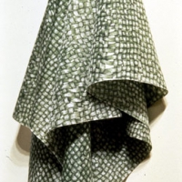 Green Hanging Cloth (detail)
