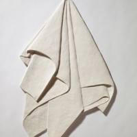 Napkin II