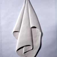 Napkin II 2