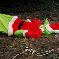 Grinch Face Down on the Ground