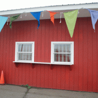 Flags up front Flags in Back