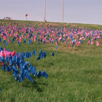 Pink and Blue