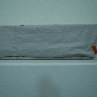 Sarcaphogus Panel