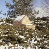 Variegated House in Snow