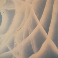 Painting Wall