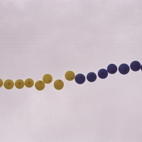 Balloons 6