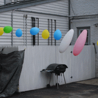 Birthday Party 1