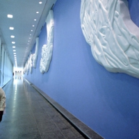 Curtain Wall