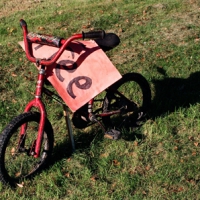 Free Bicycle
