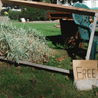 Free Framed
